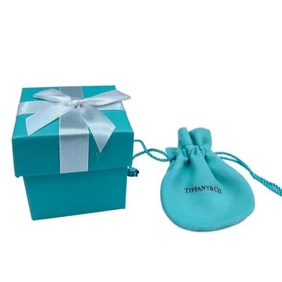 Tiffany & Co Blue Bag and Gift box - Picture 1 of 1